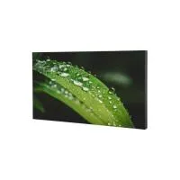 dhi-ls550kdh-uf-500x500 dhi-ls550kdh-uf-500x500