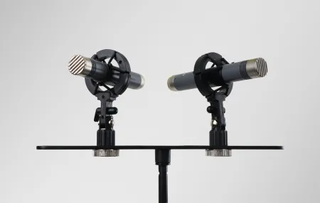 Купить AuraSonics AP22-MP по выгодной цене в Москве