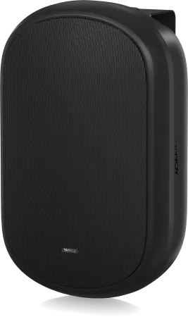 Купить Tannoy DVS 601 по выгодной цене в Москве