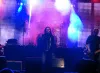 Купить INVOLIGHT LED SCREEN55 по выгодной цене в Москве
