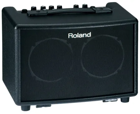 Купить ROLAND AC-33 за 53&nbsp;190 ₽