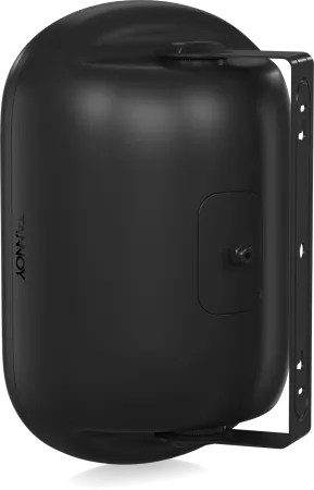 Купить Tannoy DVS 801 по выгодной цене в Москве