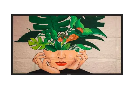 Philips 65BDL4550D/00