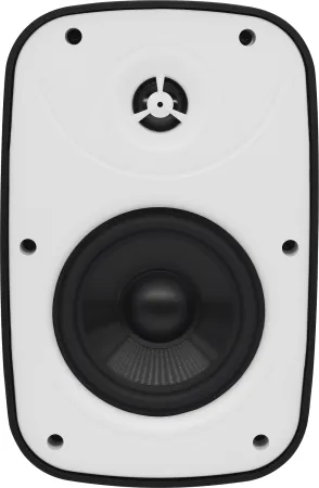 Купить SVS Audiotechnik PAF-5W PRO по выгодной цене в Москве