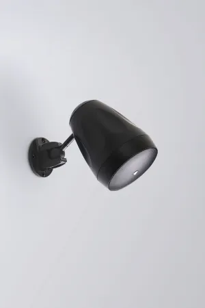 Купить AuraSonics FLORET-4T по выгодной цене в Москве