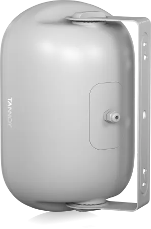 Купить Tannoy DVS 601-WH по выгодной цене в Москве