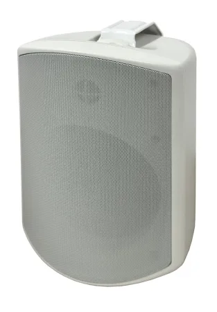 SVS Audiotechnik WSP-6W Pro