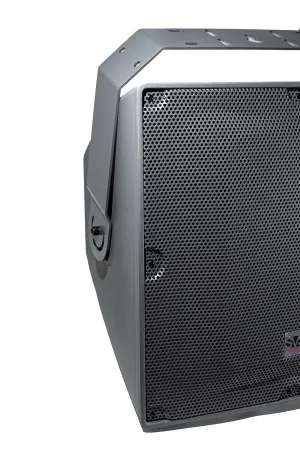 Купить SVS Audiotechnik IP-15T по выгодной цене в Москве
