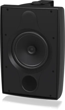 Купить TANNOY DVS 8T по выгодной цене в Москве