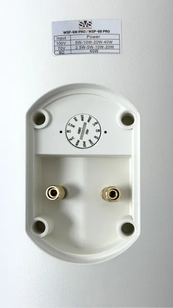 SVS Audiotechnik WSP-6W Pro SVS Audiotechnik WSP-6W Pro