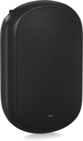 Купить Tannoy DVS 801 по выгодной цене в Москве