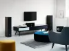 Купить DALI GRILLE SPEKTOR 6 BLACK по выгодной цене в Москве