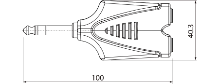 ROXTONE RPAN300 ROXTONE RPAN300