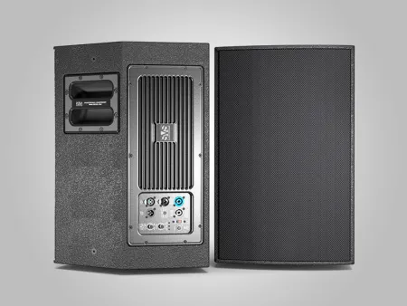 Купить SVS Audiotechnik R10A по выгодной цене в Москве