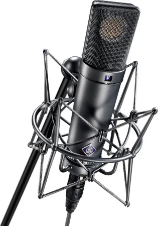 Купить NEUMANN U 89 i по выгодной цене в Москве