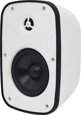Купить SVS Audiotechnik PAF-6W PRO по выгодной цене в Москве
