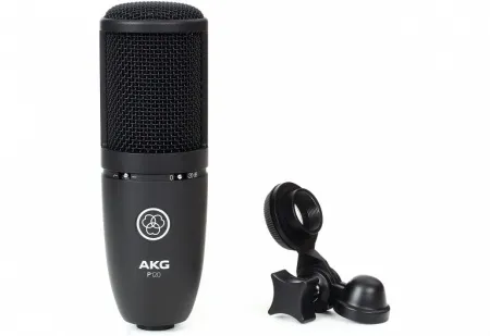 Купить AKG P120 по выгодной цене в Москве