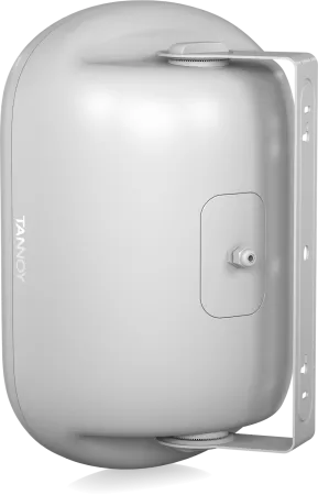 Купить Tannoy DVS 801-WH по выгодной цене в Москве