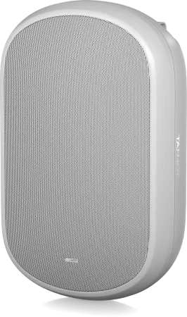 Купить Tannoy DVS 801-WH по выгодной цене в Москве