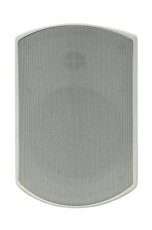 SVS Audiotechnik WSP-6W Pro