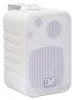 SVS Audiotechnik WSM-20 White