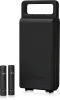 Купить BEHRINGER C-2 DARK EDITION по выгодной цене в Москве