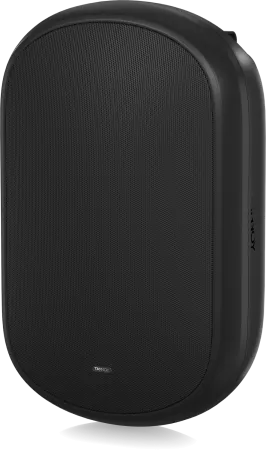 Купить Tannoy DVS 801 по выгодной цене в Москве