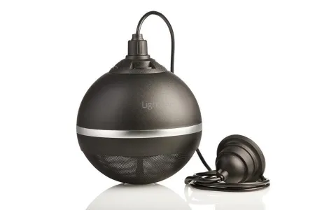 Картинка с сайта Картинка с сайта