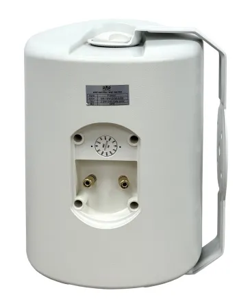 SVS Audiotechnik WSP-6W Pro