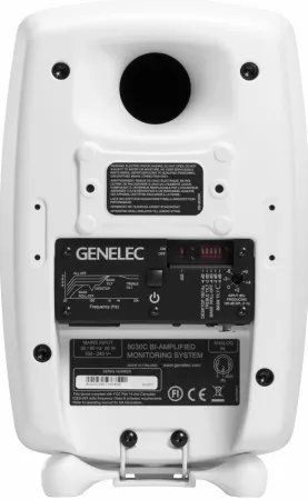 Купить Genelec 8030CW по выгодной цене в Москве