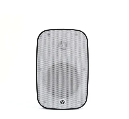 Купить AuraSonics DENSE-5T-WH по выгодной цене в Москве