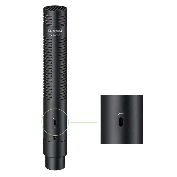 Tascam TM-200SG Tascam TM-200SG