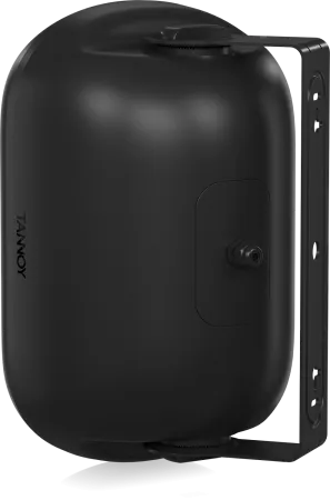 Купить Tannoy DVS 601 по выгодной цене в Москве
