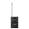 Купить Pasgao PAW-920 Rx_2x PBT-801 TxB по выгодной цене в Москве