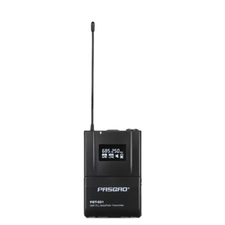 Купить Pasgao PAW-920 Rx_2x PBT-801 TxB по выгодной цене в Москве