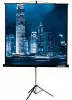 Lumien LMV-100101
