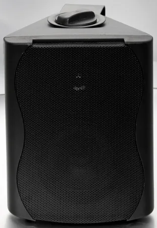 Купить SVS Audiotechnik WS-20 Black по выгодной цене в Москве