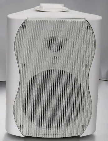 Купить SVS Audiotechnik WS-20 White по выгодной цене в Москве