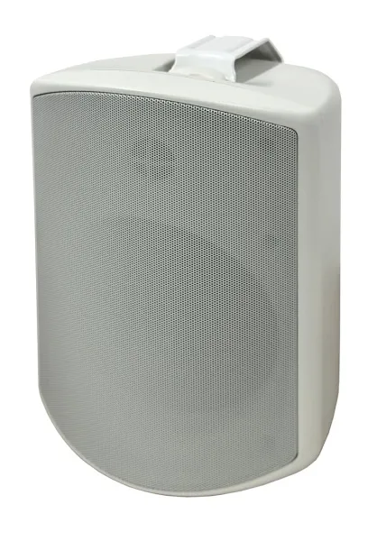 SVS Audiotechnik WSP-6W Pro SVS Audiotechnik WSP-6W Pro