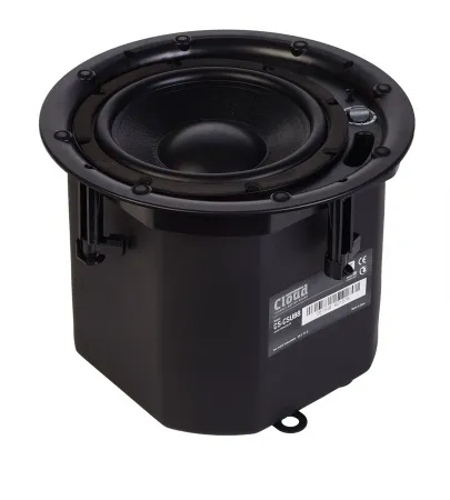 cs_csub8b_1 cs_csub8b_1