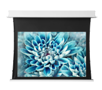 ViewScreen Annex 16:10 137" 295*184 (размер белого поля) White Casing (с ИК пультом)