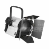 Купить ANZHEE PRO Spectrum Fresnel W 300 по выгодной цене в Москве