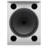 Купить TANNOY VX 15HP-WH по выгодной цене в Москве