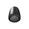 Купить JBL C65P/T по выгодной цене в Москве