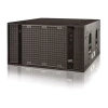 Купить DAS Audio UX-218 по выгодной цене в Москве