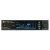 Купить DP Technology DP-200 INSTRUMENTAL по выгодной цене в Москве