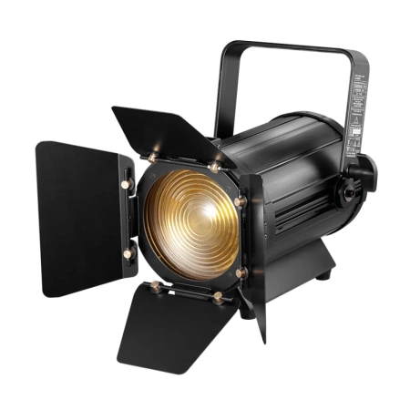 Купить I LIGHTING IL-LED Fresnel 100WW/CW за 0 ₽