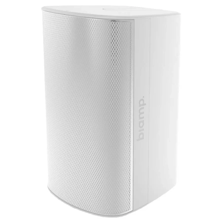 Купить BIAMP EX-S10-CM-W по выгодной цене в Москве