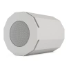 Купить CVGAUDIO SUBone model DH-8W/CR по выгодной цене в Москве