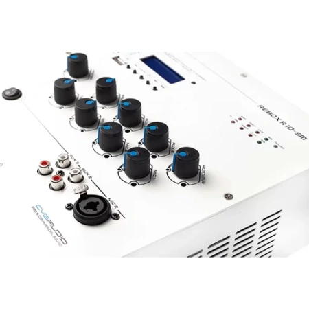 Купить CVGAUDIO ReBox R10-SM по выгодной цене в Москве